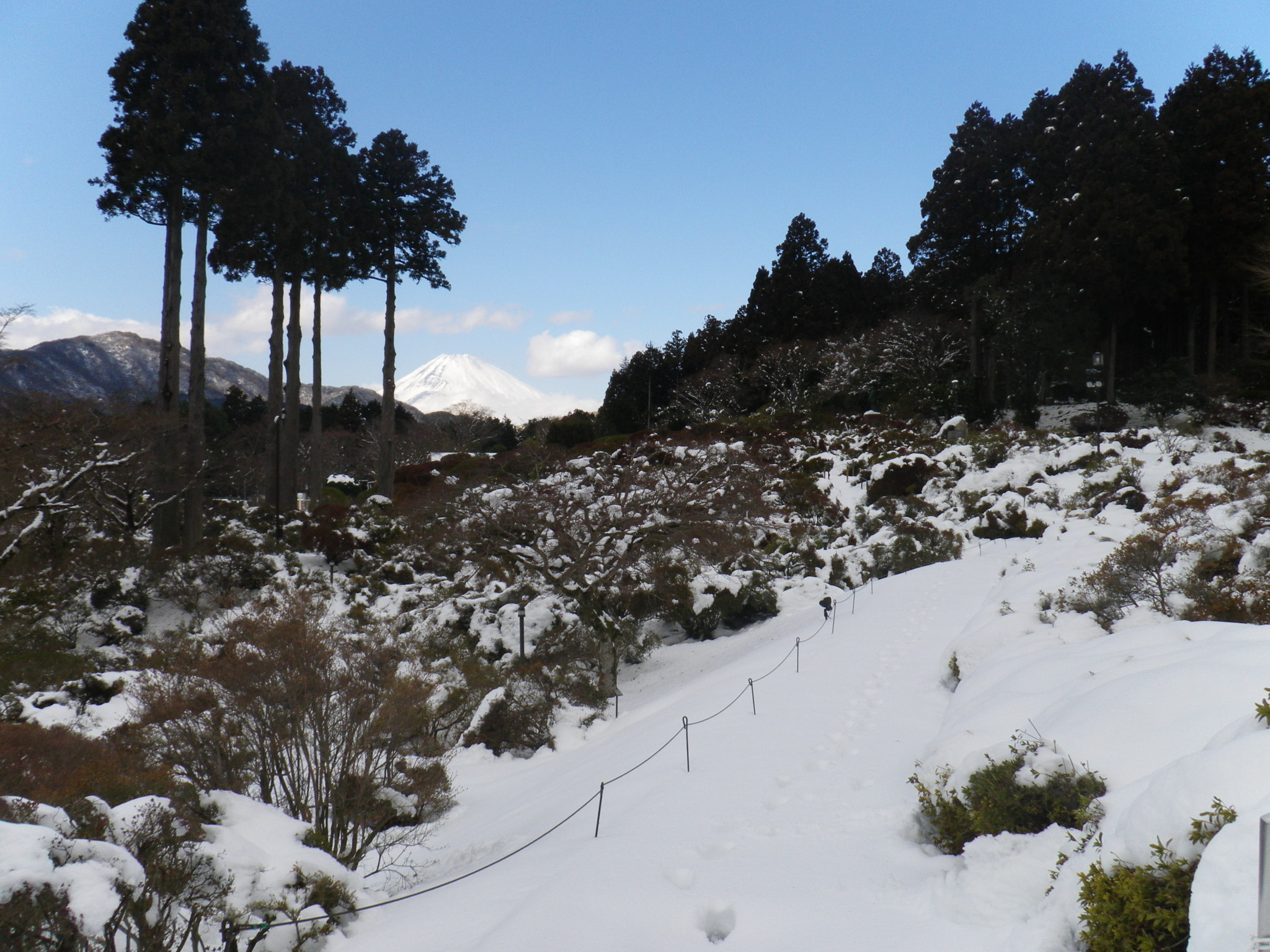 大雪後の庭園 山のホテル 箱根 芦ノ湖 季節の花便り