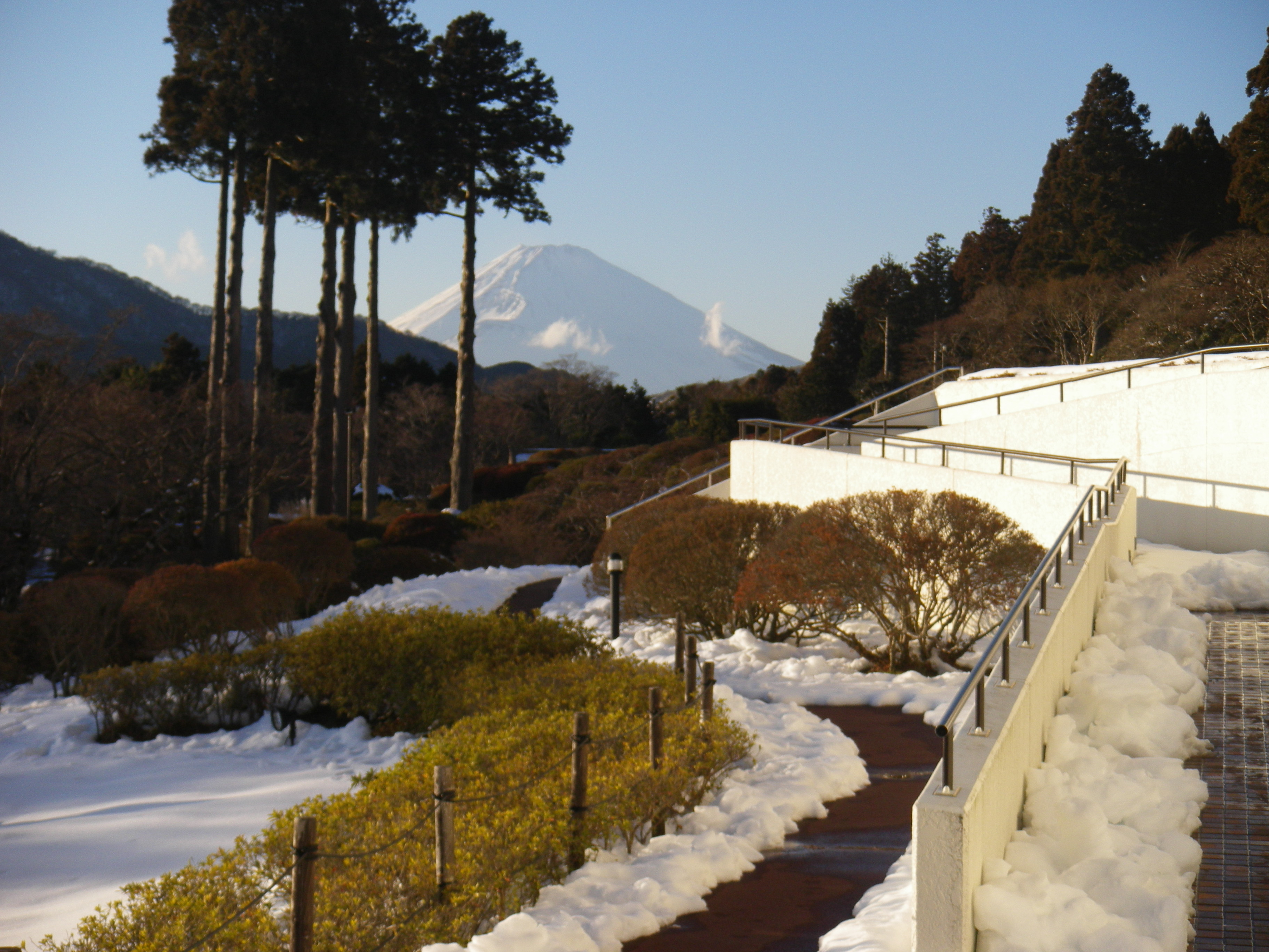 雪の箱根 芦ノ湖畔 山のホテル 箱根 芦ノ湖 季節の花便り