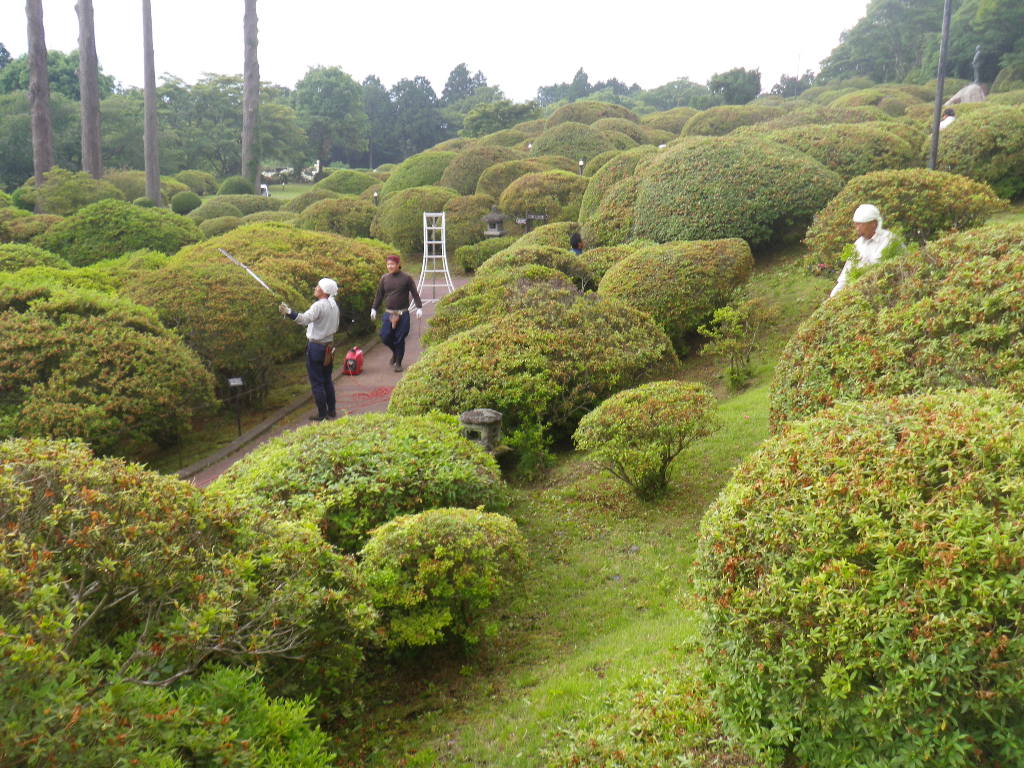 ツツジ刈り込み作業 山のホテル 箱根 芦ノ湖 季節の花便り