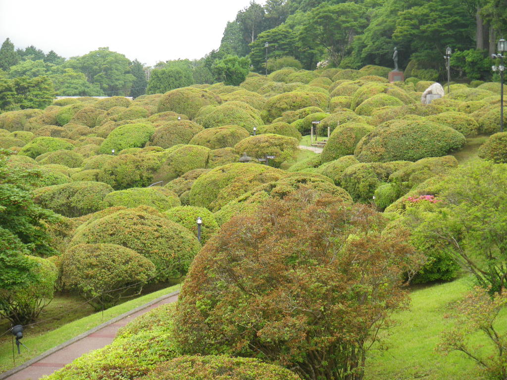 ツツジ刈り込み作業 山のホテル 箱根 芦ノ湖 季節の花便り